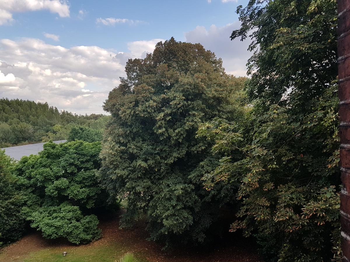Chateau Lambert Moulinsart Hotel, Shuttle Airport, Long Term Parking, Snooker, Large Terrasse, Dinner, Breakfast Charleroi Exteriör bild