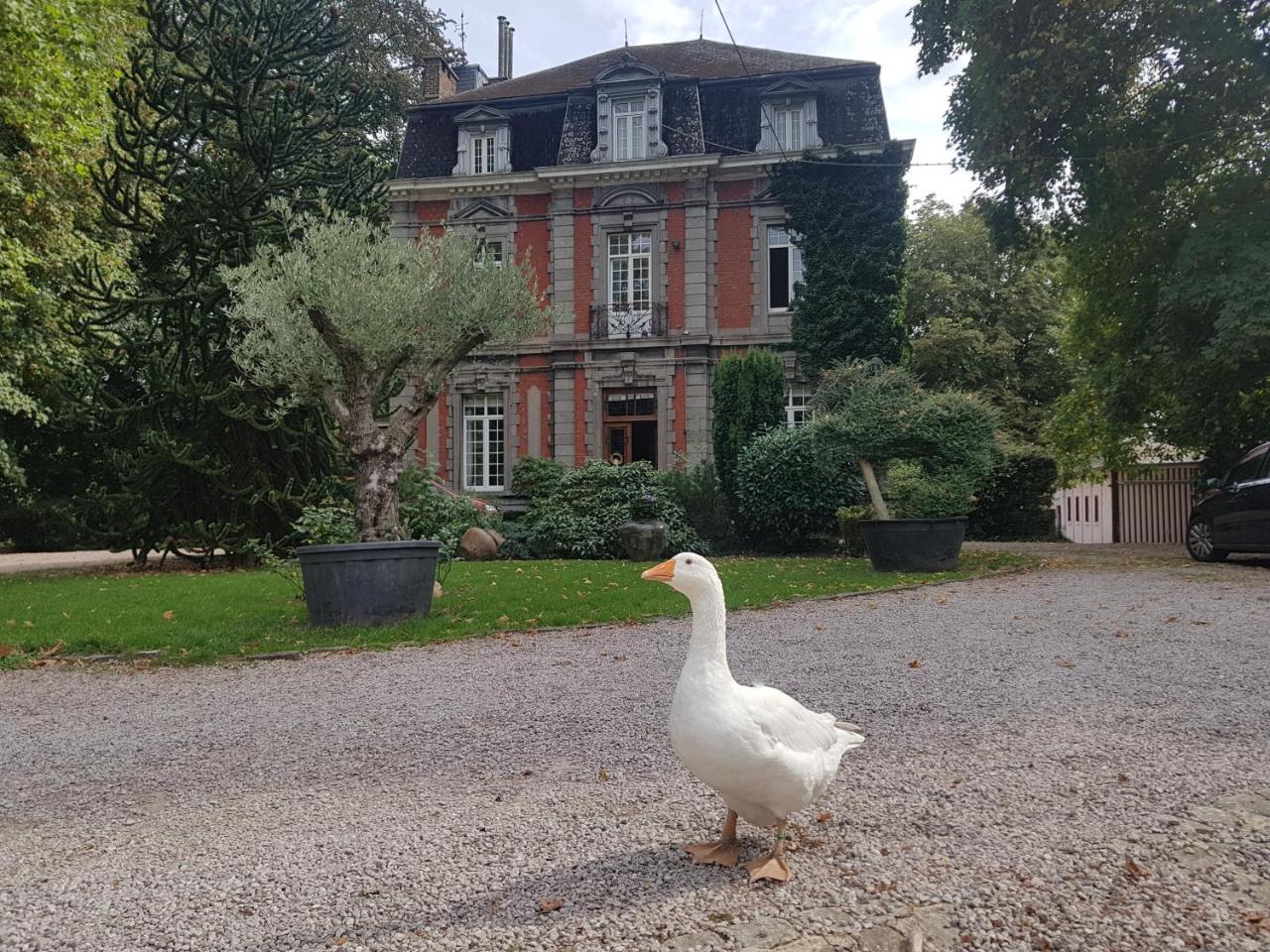 Chateau Lambert Moulinsart Hotel, Shuttle Airport, Long Term Parking, Snooker, Large Terrasse, Dinner, Breakfast Charleroi Exteriör bild